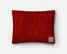 Load image into Gallery viewer, PILLOWCASES - MINKY - Luxe, Prints, Dimple and Embossed